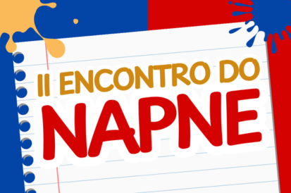napne enc 413 271