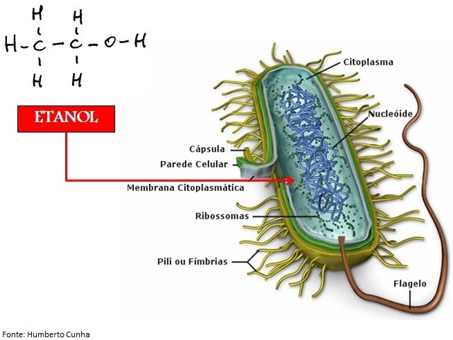 Etanol 2