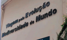 Conquista no Xadrez - IFSULDEMINAS - Campus Pocos